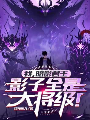 我的暗影