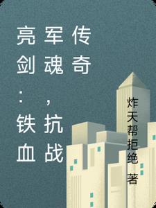 铁血军魂40集