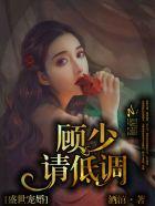 盛世宠货顾少请低调