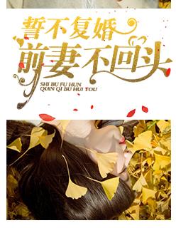 前妻不回头无弹窗免费阅读