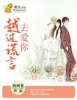 穿过谎言去爱你