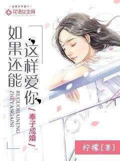 如果可以这样爱什么意思
