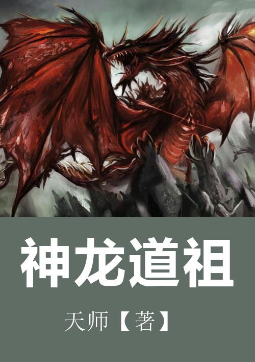 神龙宗是什么的