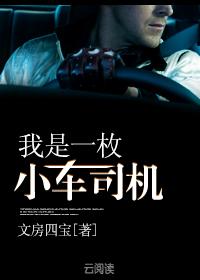 我是汽车小司机