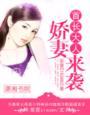 暖妻来袭傅雅