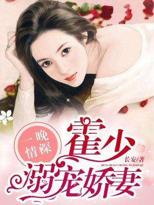 一晚情深霍少溺宠娇妻
