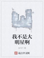 我不是大明星电影百科