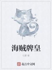海贼纸皇