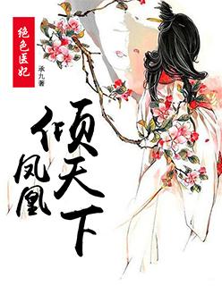 穿越凤凰绝色医妻