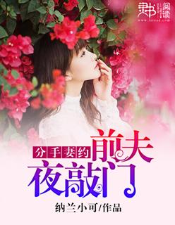 分手妻约免费阅读全集