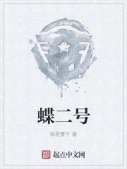 蝶二号讲的什么