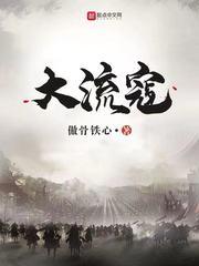 大流寇全本TXT