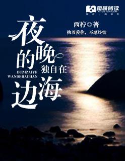 独自在夜晚的海边2017
