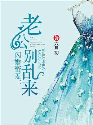 闪婚老公别太坏全文免费