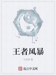王者风暴传奇道士宝宝简介