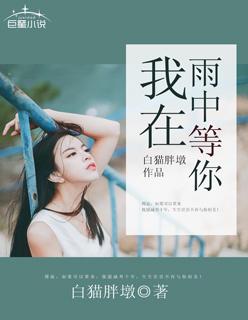我在雨中等你什么意思