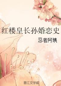 红楼之长房长孙传