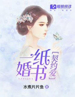 一纸婚书阅读