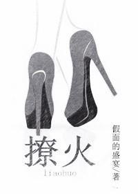 燎火沈慕寒