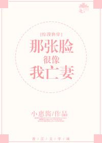 那张什么的脸作文
