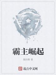 霸主的崛起主要内容