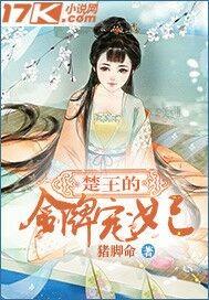 楚王妃全本