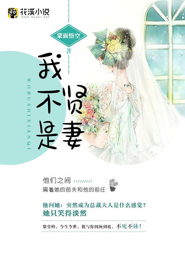 我不是贤妻也不是良母