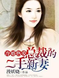 总裁的二婚私宠