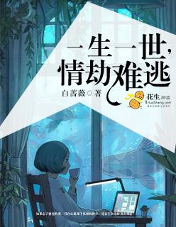 一生一世一段情