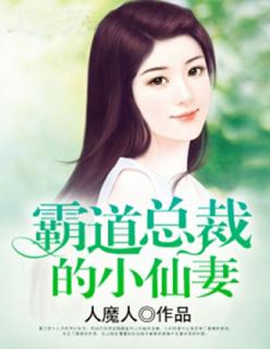 霸道总裁的小娇妻动画片
