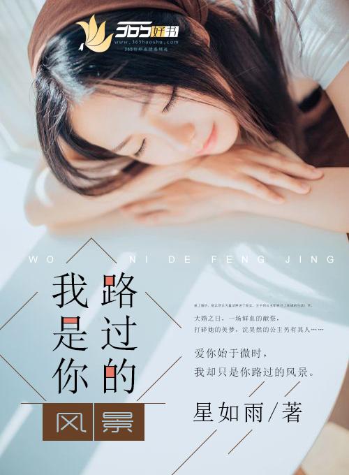我是你路过风景歌词