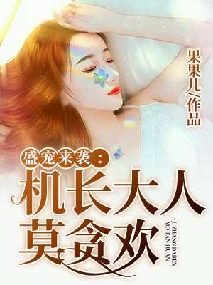 机长大叔宠宠我