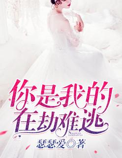 你是我的在劫难逃免费阅读