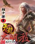 天龙之明教教主