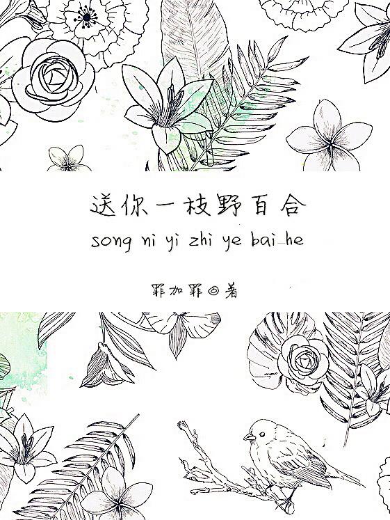 送你一枝野百合是什么类型的书