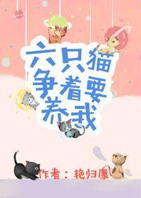 六只猫争着要养我 作者艳归康