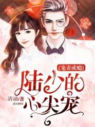 宠妻成瘾陆少的心尖宠第一集