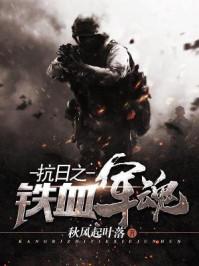抗日之铁血军魂全集免费观看
