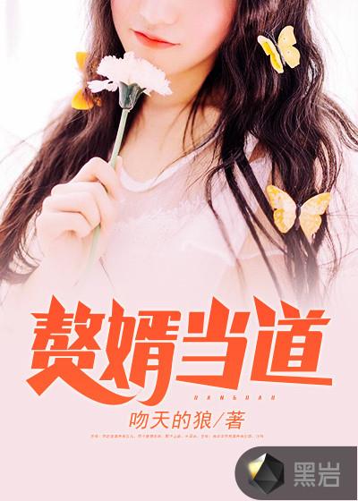 我是赘婿我摊牌了