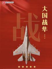 大国战隼txt全本