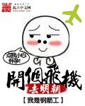 开着飞机去大明txt