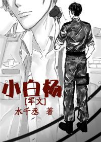 小白杨树图片