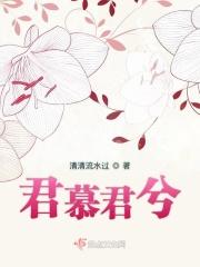 君慕凛简介