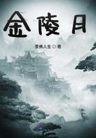 金陵月华多少钱