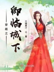 穿越之卿本佳人作者清枫语