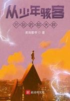 少年骇客的系统