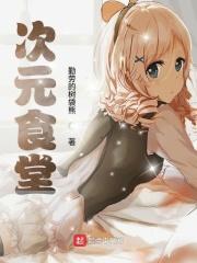 次元饭啥意思