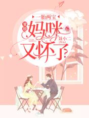 一胎两宝爹地妈咪又怀了短剧演员表
