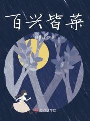 百兴是啥意思