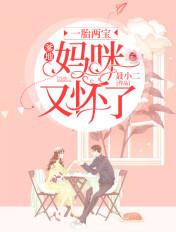 一胎双宝爹地妈咪又怀了
